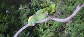 Enlarge photo 96