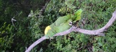 Enlarge photo 95
