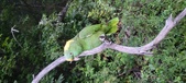 Enlarge photo 94