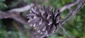 Enlarge photo 394