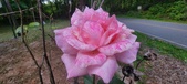Enlarge photo 89