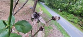 Enlarge photo 84