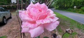 Enlarge photo 71