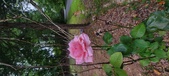 Enlarge photo 70