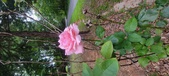 Enlarge photo 68