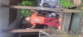 Enlarge photo 65