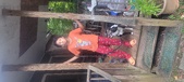 Enlarge photo 64