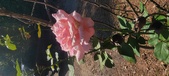 Enlarge photo 55
