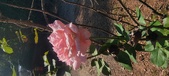 Enlarge photo 56