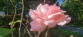 Enlarge photo 49