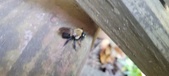 Enlarge photo 38