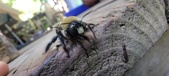 Enlarge photo 31