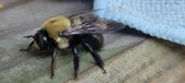 Enlarge photo 18