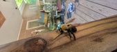 Enlarge photo 13