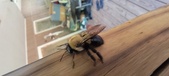 Enlarge photo 7