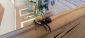 Enlarge photo 3