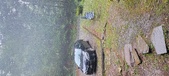 Enlarge photo 167