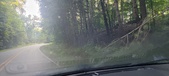 Enlarge photo 128