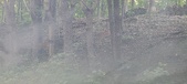 Enlarge photo 125