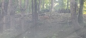 Enlarge photo 127