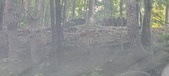 Enlarge photo 123