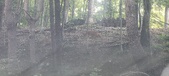 Enlarge photo 122
