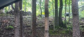 Enlarge photo 121