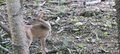 Enlarge photo 120