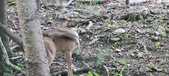 Enlarge photo 119