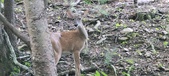 Enlarge photo 117