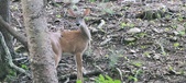 Enlarge photo 116