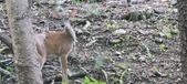Enlarge photo 112