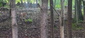 Enlarge photo 113