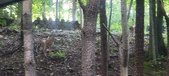 Enlarge photo 115