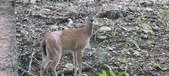 Enlarge photo 111