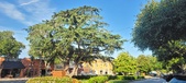 Enlarge photo 105