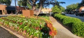 Enlarge photo 107