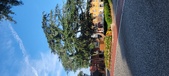 Enlarge photo 92
