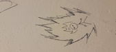 Enlarge photo 58