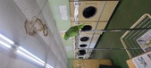 Enlarge photo 52