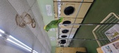 Enlarge photo 53