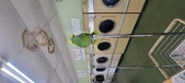 Enlarge photo 54