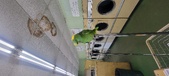Enlarge photo 47