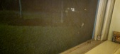 Enlarge photo 49