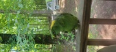 Enlarge photo 39