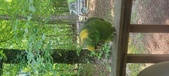 Enlarge photo 38