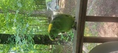 Enlarge photo 37
