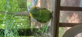 Enlarge photo 36