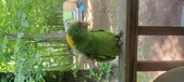 Enlarge photo 35