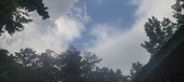 Enlarge photo 179